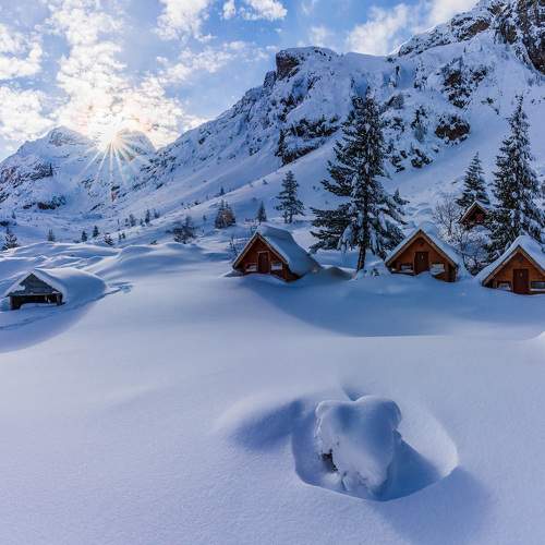 Preview Photographer\'s photo viktor demidov