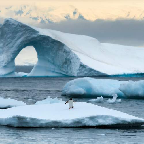 Preview Photographer\'s photo George