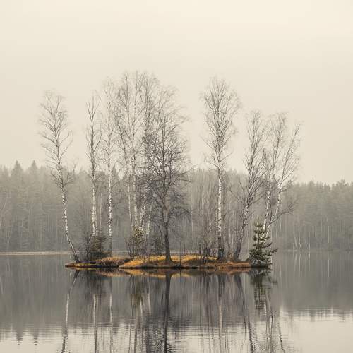 Preview Photographer\'s photo Светлана Краюшкина