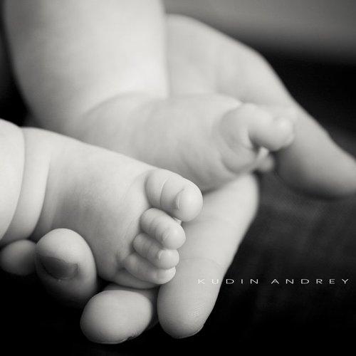 Превью фотографии фотографа Andrey Kudin