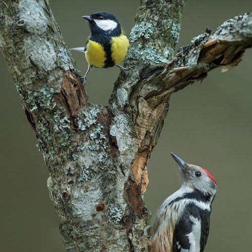 Preview Photographer\'s photo andris