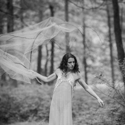 Превью фотографии фотографа Gerald Johnson