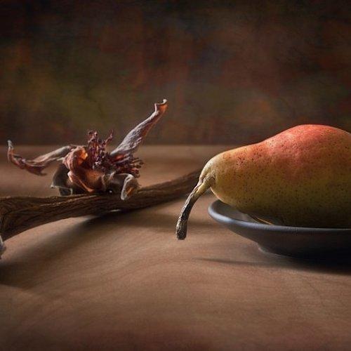 Превью фотографии фотографа Юрий Юшваев