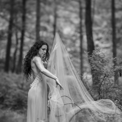 Preview Photographer\'s photo Gerald Johnson