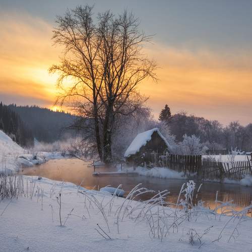 Preview Photographer\'s photo Светлана Краюшкина