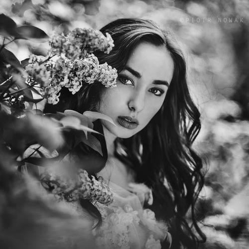 Превью фотографии фотографа Piotr Nowak