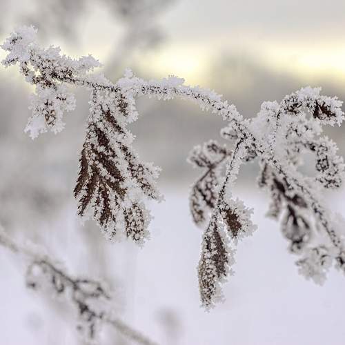 Превью фотографии фотографа Орлов Олег