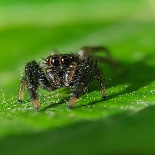 Preview Photographer\'s photo Rati Qvaraia