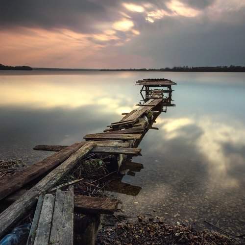 Preview Photographer\'s photo FLOP