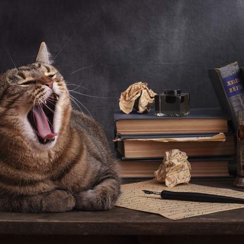 Превью фотографии фотографа Максим Вышарь