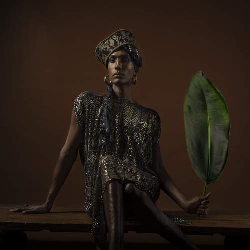 Preview Photographer\'s photo Pouyan Safavi