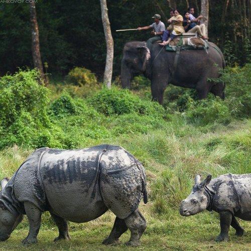 Превью фотографии фотографа Антон Янковой (www.photo-travel.com)