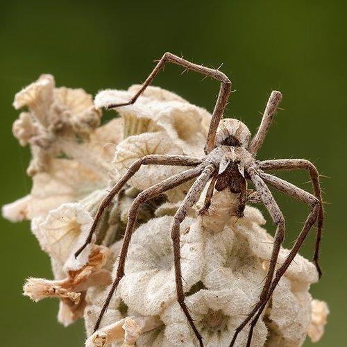 Превью фотографии фотографа Игорь ФУММ