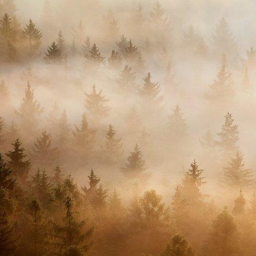 Превью фотографии фотографа Daniel Rericha