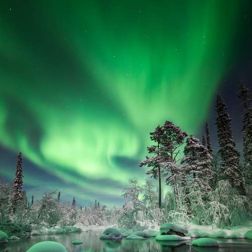 Превью фотографии фотографа Елена Ермолина