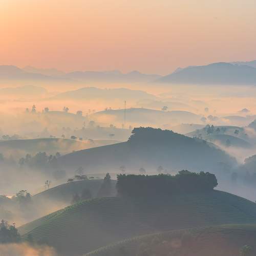 Preview Photographer\'s photo Duc Nguyen