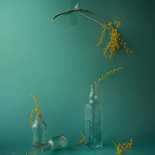 Превью фотографии фотографа Svoboda Andreeva