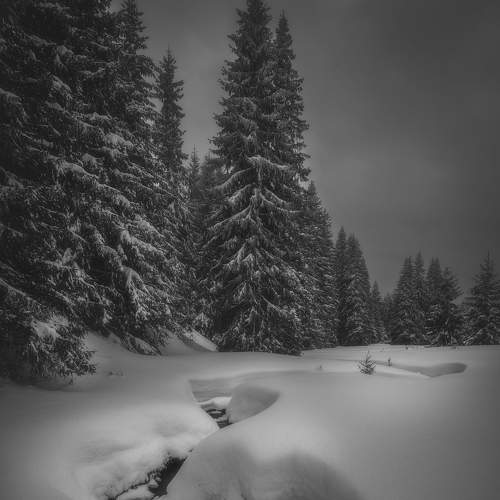 Превью фотографии фотографа Mariyana Atanasova - Lucero