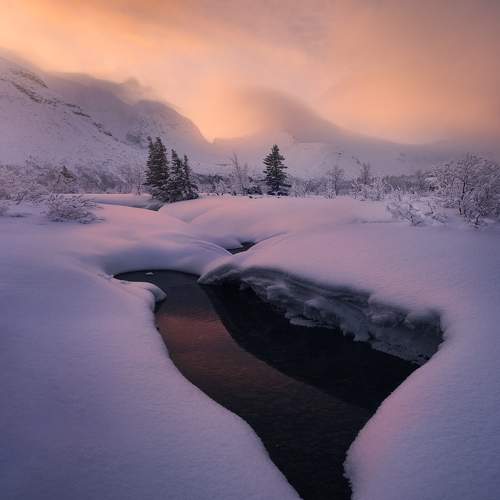 Превью фотографии фотографа Дударев Александр