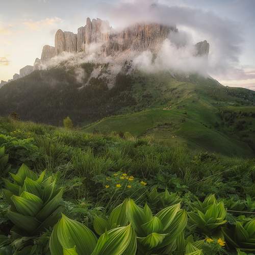 Превью фотографии фотографа Василий Яковлев
