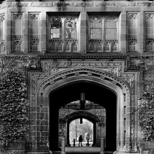 Превью фотографии фотографа isamonov