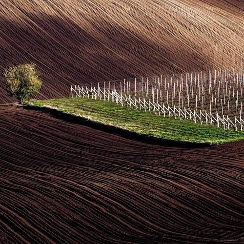 Превью фотографии фотографа Stanislav Judas
