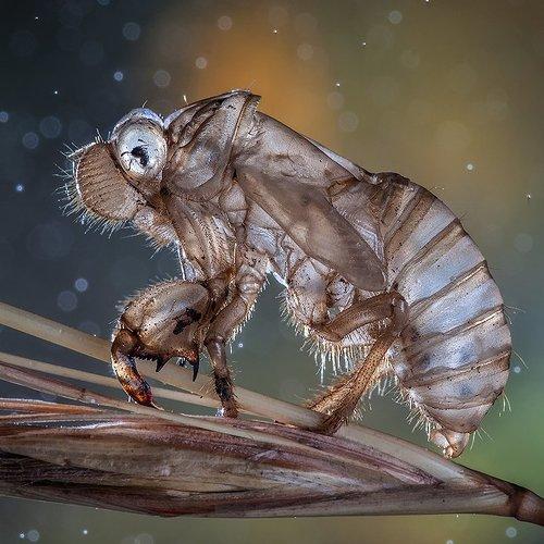 Preview Photographer\'s photo iryna