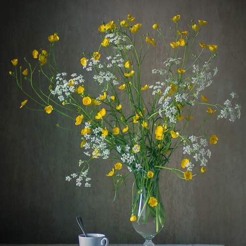 Превью фотографии фотографа Georg Stein