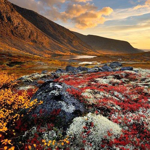 Превью фотографии фотографа Евгений Тимашёв