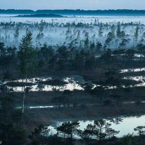 Превью фотографии фотографа Eriks Zilbalodis