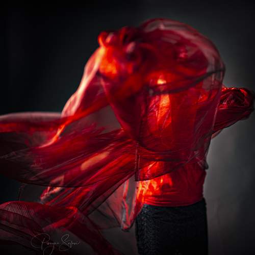 Превью фотографии фотографа Pouyan Safavi