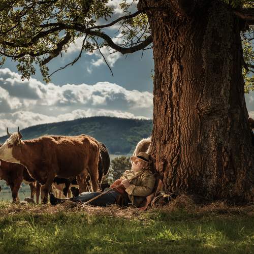 Preview Photographer\'s photo Karamazov Vladimir