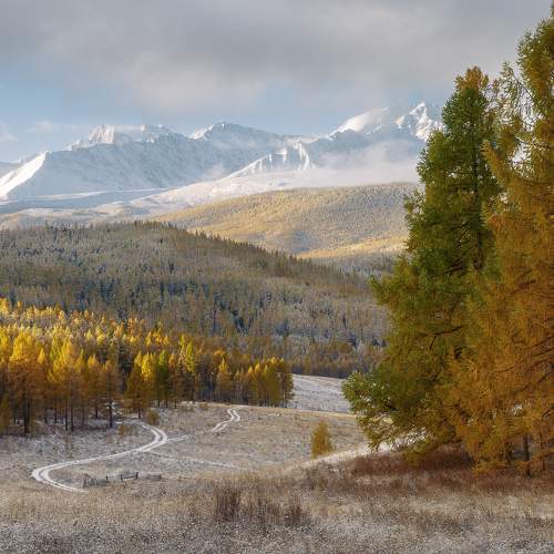 Превью фотографии фотографа Александр Писарев
