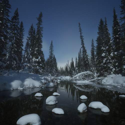 Preview Photographer\'s photo Гордиенко Анатолий