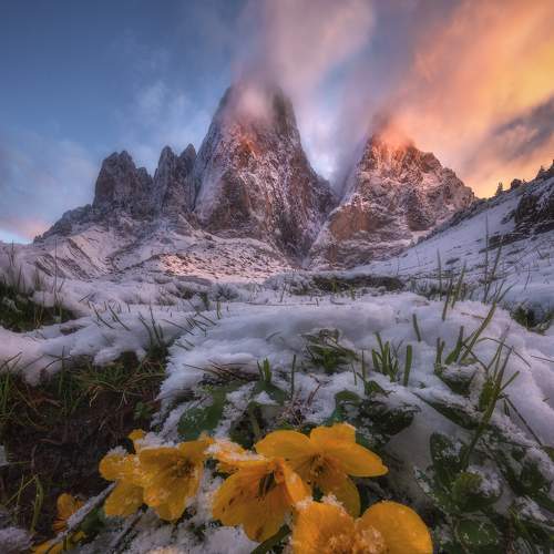 Превью фотографии фотографа Андрей Грачев