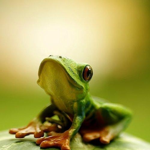 Preview Photographer\'s photo Ercan Yurt