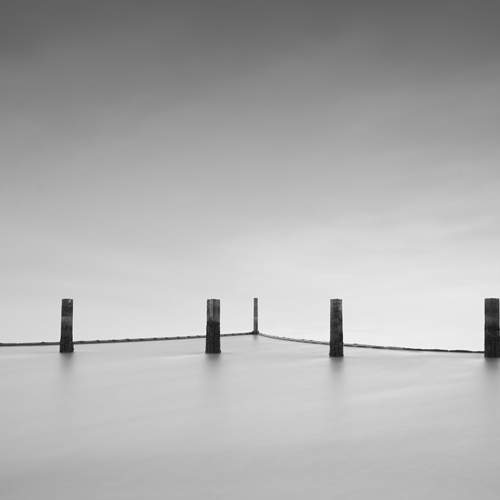 Preview Photographer\'s photo Eddie