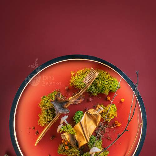 Превью фотографии фотографа Dina Belenko