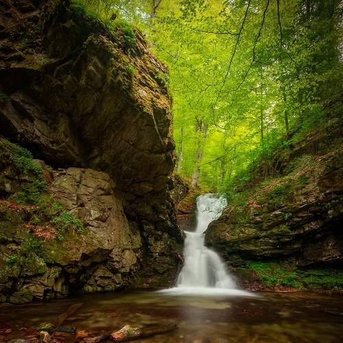 Preview Photographer\'s photo Петко Петков