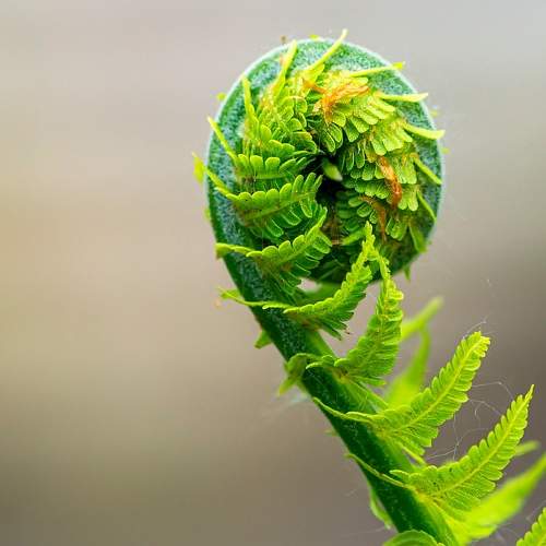 Превью фотографии фотографа Орлов Олег
