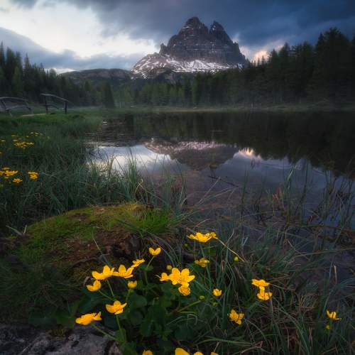 Превью фотографии фотографа Stefano Balma