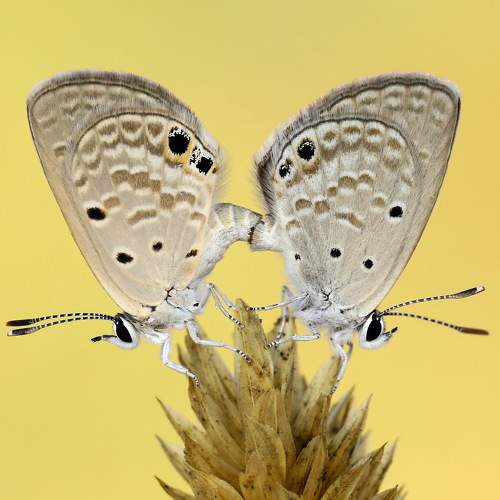 Preview Photographer\'s photo Baglar Hasan