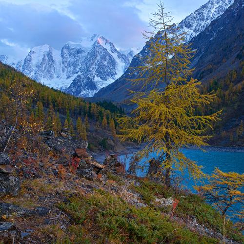 Превью фотографии фотографа Константин Белошапкин