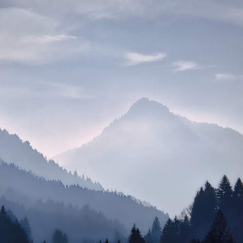 Preview Photographer\'s photo  VIktor