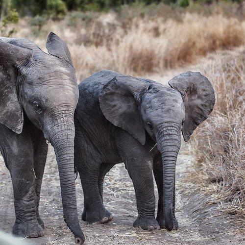 Превью фотографии фотографа Andre Victor