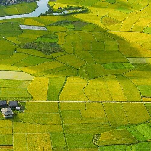 Preview Photographer\'s photo Nguyễn Anh Tuấn