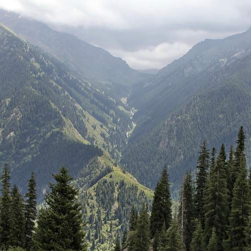 Preview Photographer\'s photo Sergio