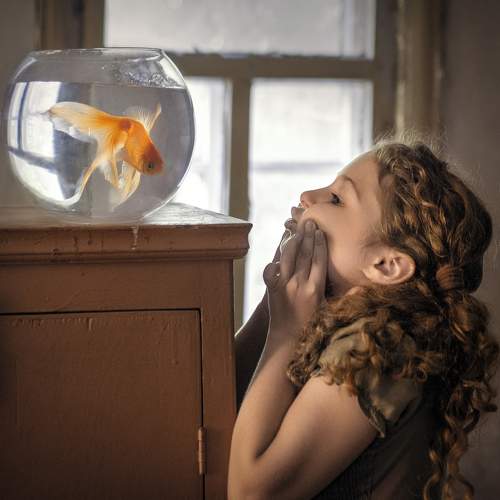 Preview Photographer\'s photo Iryna Bavina