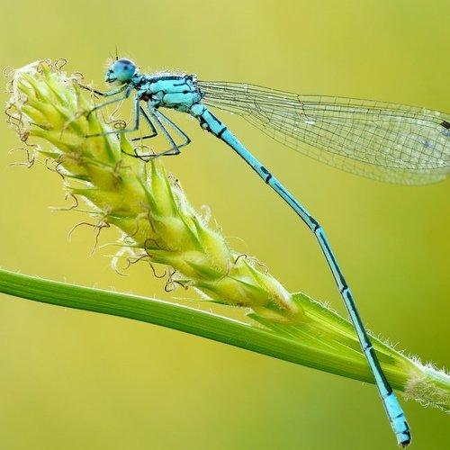 Превью фотографии фотографа Zbyszek  Walkiewicz