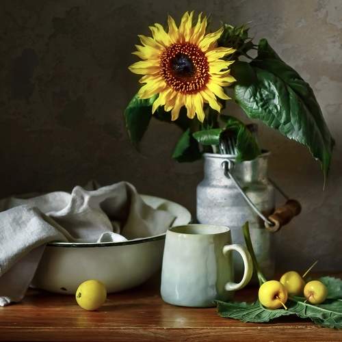 Preview Photographer\'s photo Плеханова Гульшат